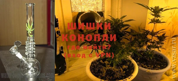 дмт Вяземский
