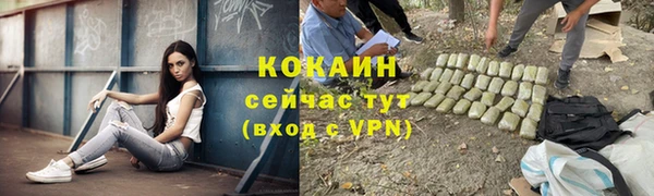 гидра Вязники