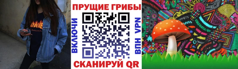 Галлюциногенные грибы ЛСД Слюдянка